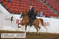 13buck_4095 proof