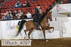 13buck_4097 proof
