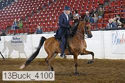 13buck_4100 proof