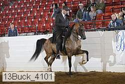 13buck_4101 proof