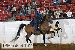 13buck_4102 proof