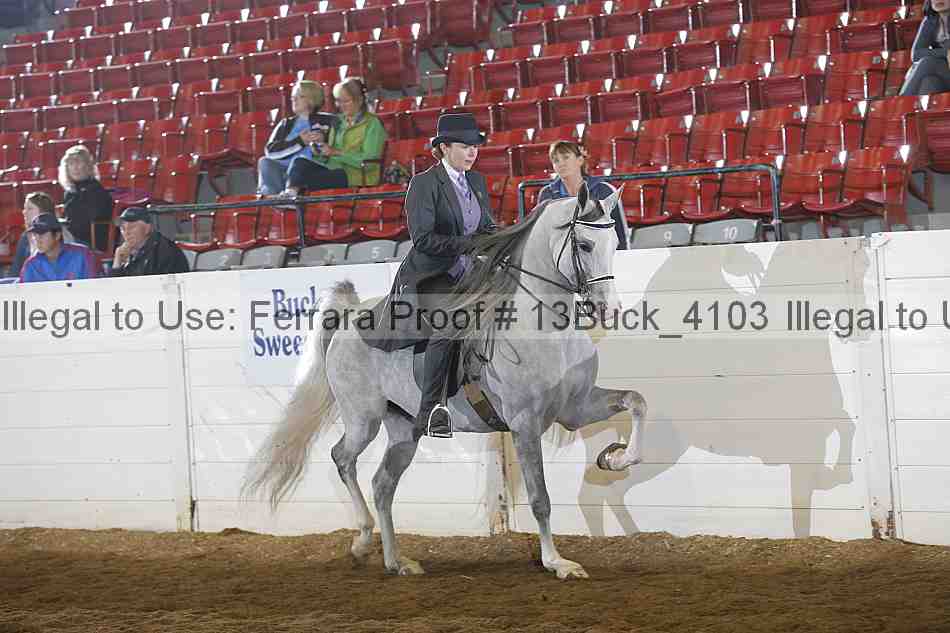 Proof 13buck_4103
