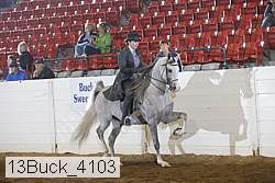 13buck_4103 proof