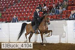 13buck_4104 proof