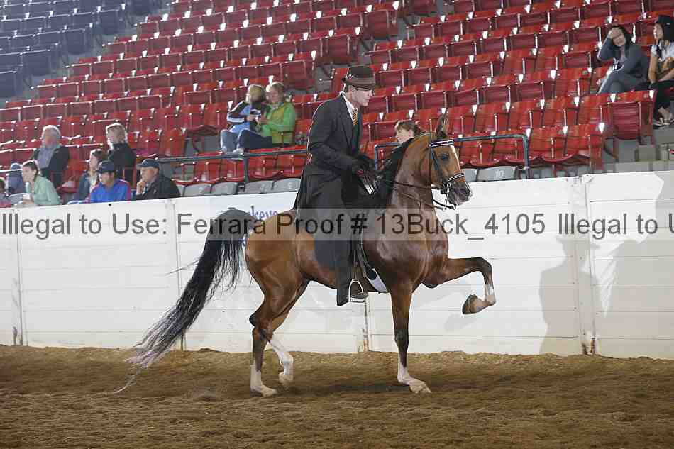 Proof 13buck_4105