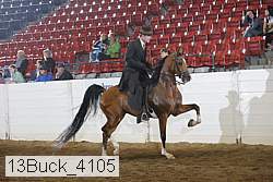 13buck_4105 proof