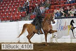 13buck_4106 proof