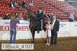 13buck_4107 proof