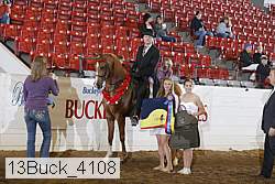 13buck_4108 proof