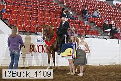13buck_4109 proof