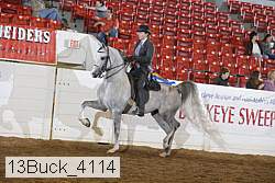 13buck_4114 proof