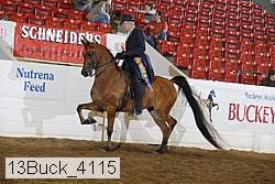 13buck_4115 proof