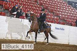 13buck_4116 proof