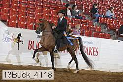 13buck_4118 proof