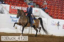 13buck_4120 proof