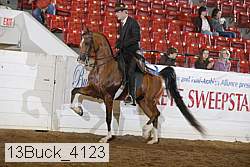 13buck_4123 proof