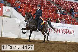 13buck_4127 proof