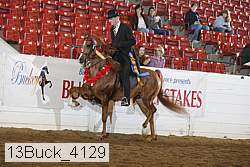 13buck_4129 proof