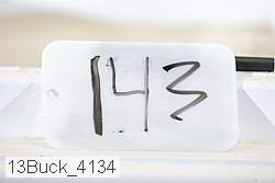 13buck_4134 proof