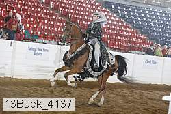 13buck_4137 proof