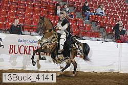 13buck_4141 proof