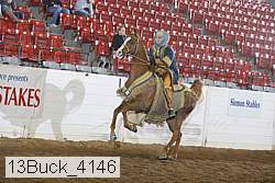 13buck_4146 proof