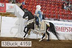 13buck_4159 proof