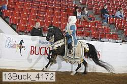 13buck_4172 proof