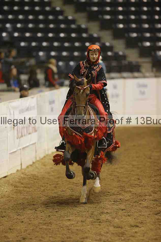 Proof 13buck_4174