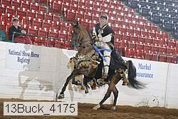 13buck_4175 proof