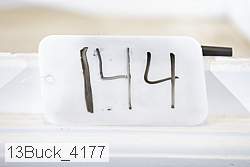 13buck_4177 proof