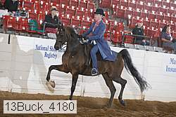 13buck_4180 proof