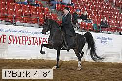 13buck_4181 proof