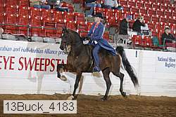 13buck_4183 proof