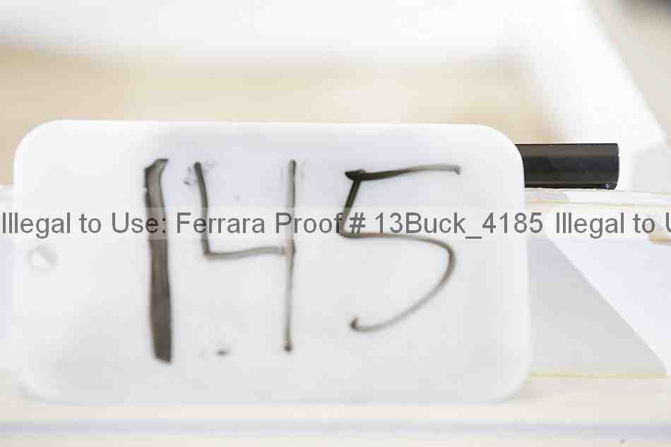 Proof 13buck_4185