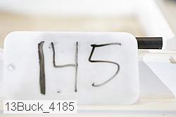 13buck_4185 proof