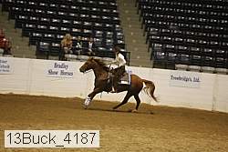13buck_4187 proof