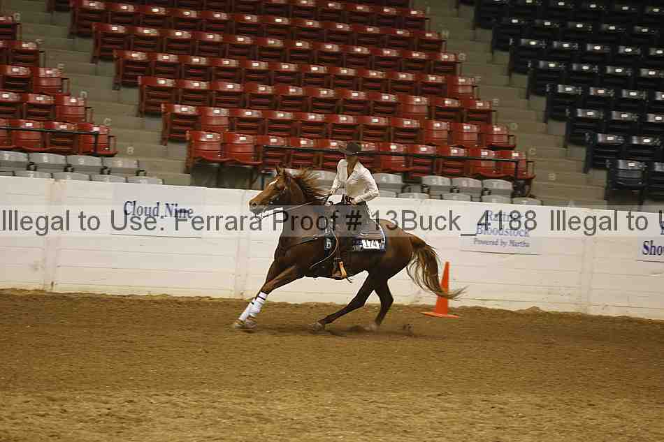 Proof 13buck_4188
