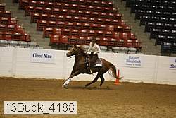13buck_4188 proof