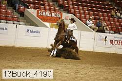13buck_4190 proof