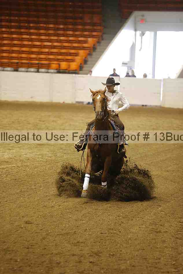 Proof 13buck_4191