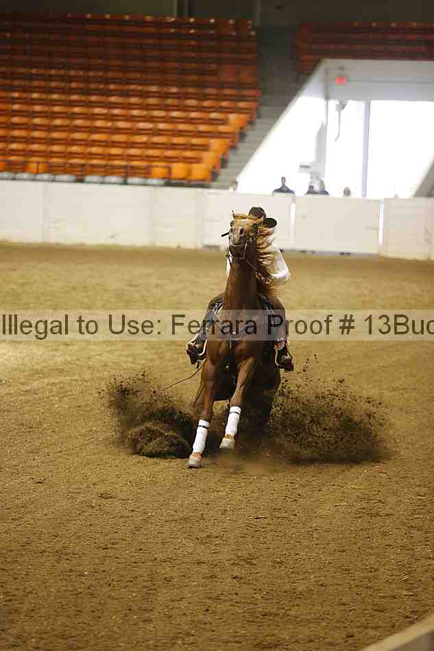 Proof 13buck_4192