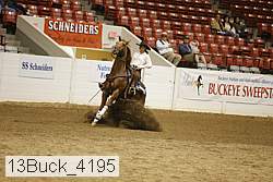 13buck_4195 proof