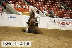 13buck_4196 proof