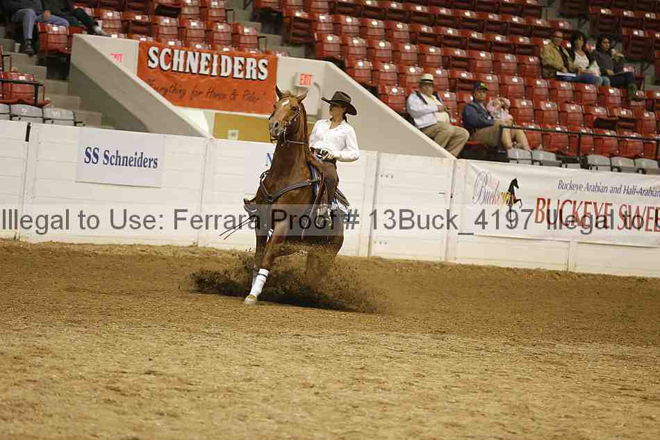 Proof 13buck_4197