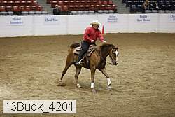 13buck_4201 proof
