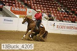 13buck_4205 proof