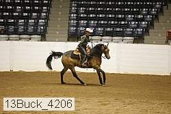 13buck_4206 proof