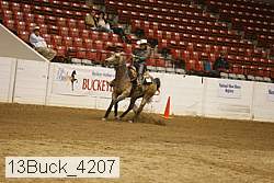 13buck_4207 proof