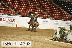 13buck_4208 proof